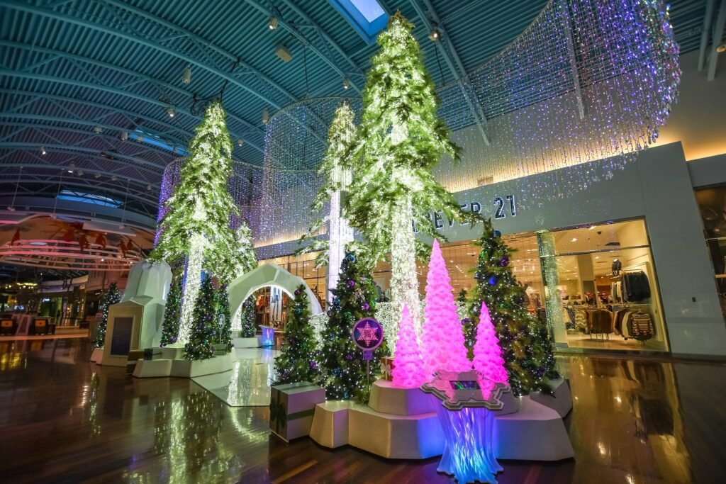 Desi Network Calgary CrossIron Mills Christmas Lights