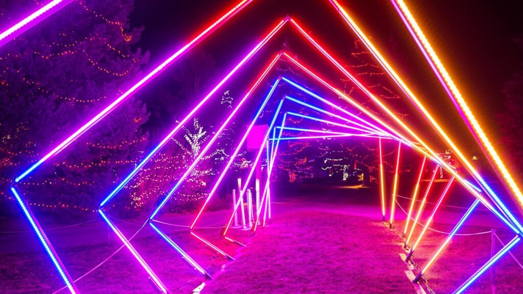 desi network calgary zoo lights