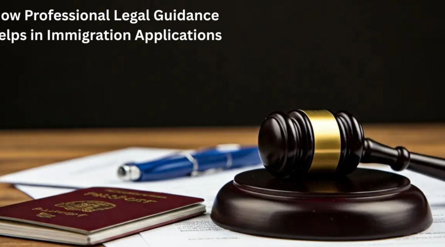 How Professional Legal Guidance Helps in Immigration Applications